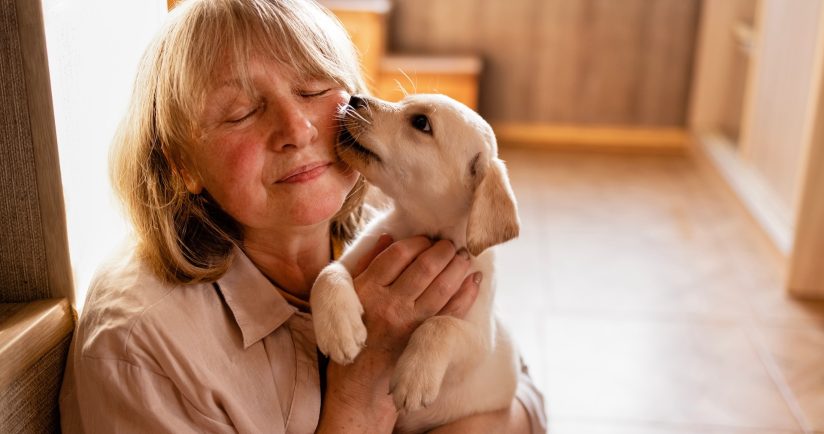 Soll das jetzt schon alles gewesen sein?
