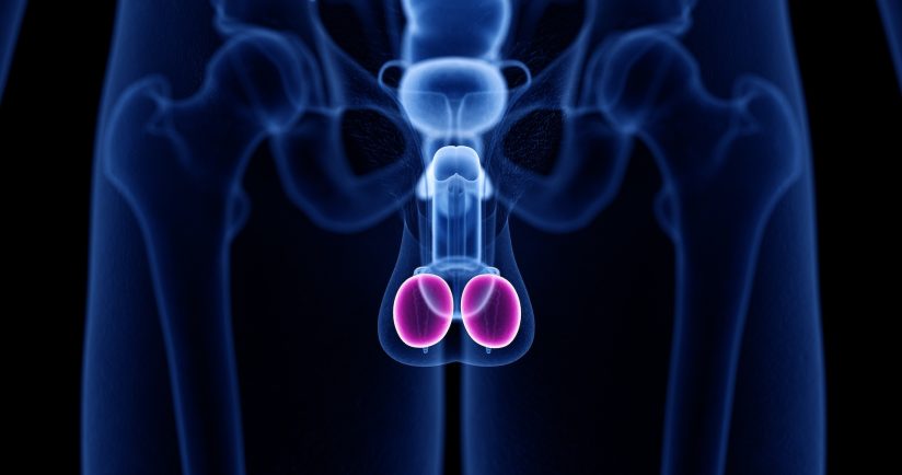 Erektionsprobleme: Mit diesen 11 Tipps beenden Sie das Schweigen