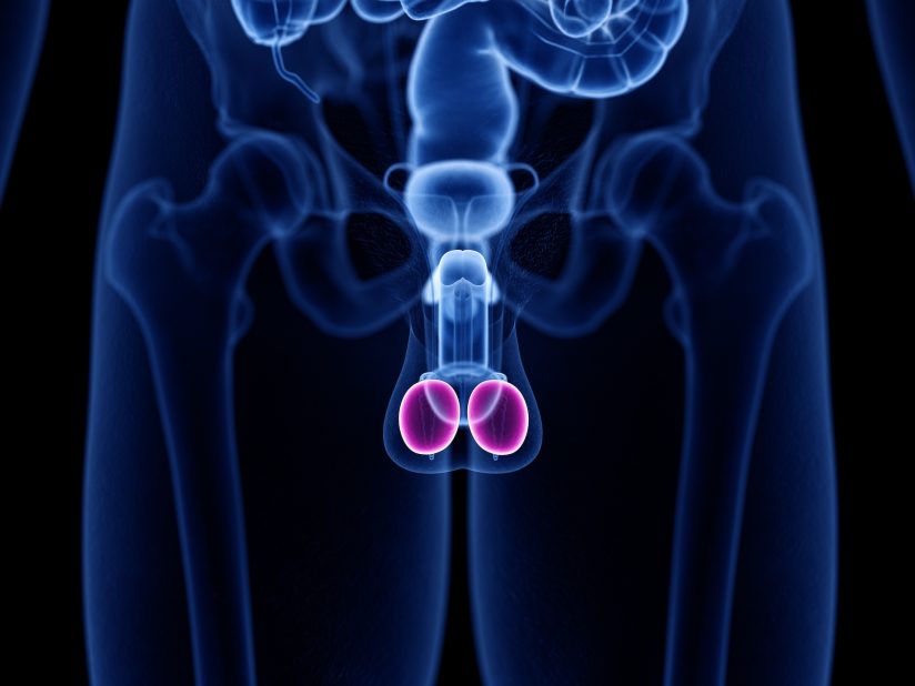 Erektionsprobleme: Mit diesen 11 Tipps beenden Sie das Schweigen