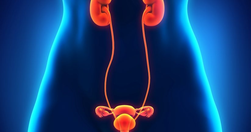 Was Ihnen hilft, wenn der Samenerguss plötzlich ausbleibt