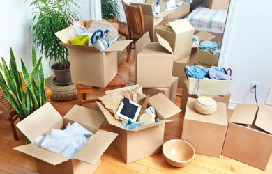 Viele offene Umzugskartons in einem Raum mit Pflanzen und Möbeln.